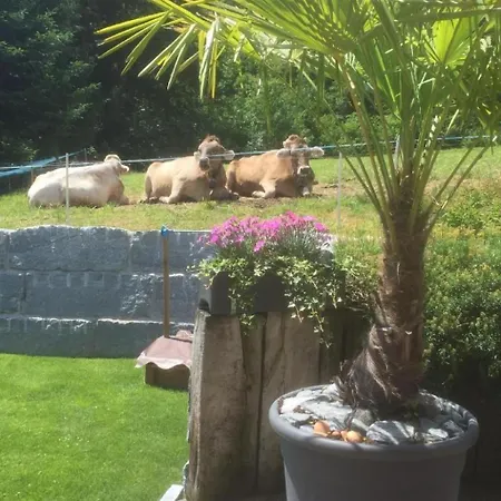 Im Toggi By Interhome Apartament