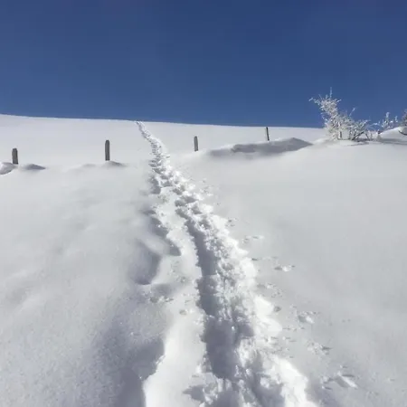 Im Toggi By Interhome Apartament