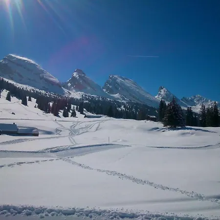 Apartament Im Toggi By Interhome