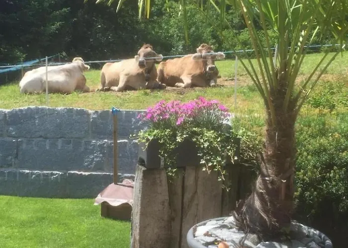 Im Toggi By Interhome Appartement