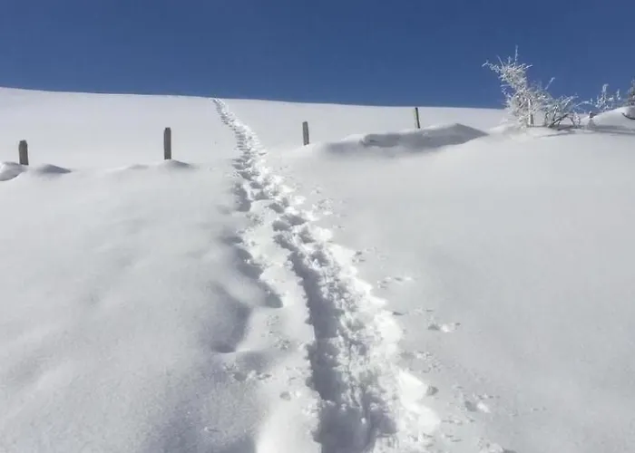 Im Toggi By Interhome Apartment