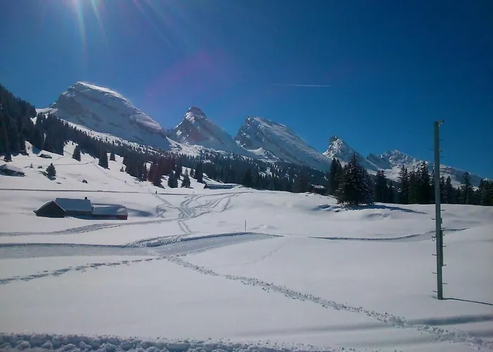 Appartement Im Toggi By Interhome